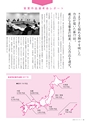 17歳からのメッセージReport2017