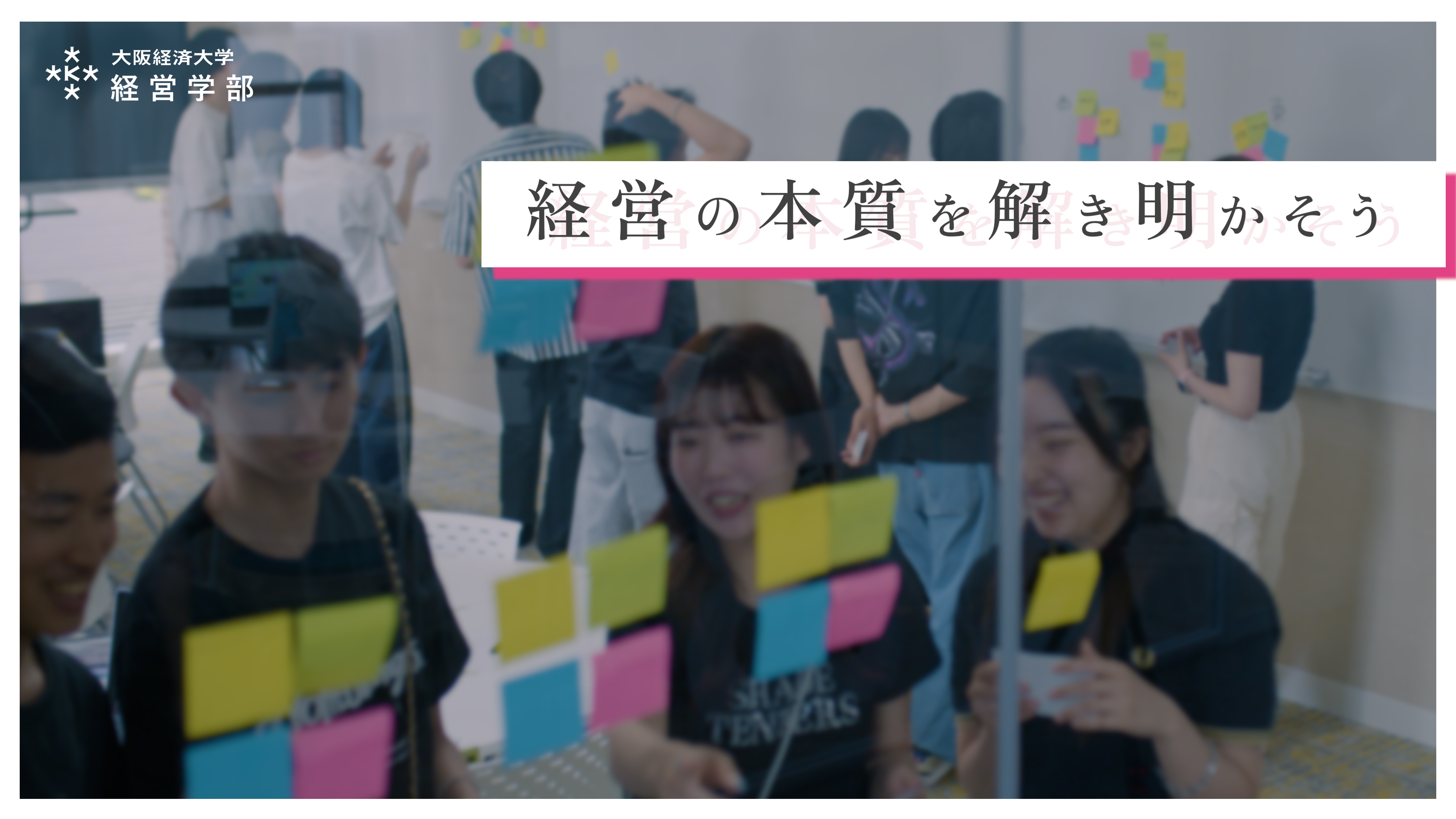 【経営学部紹介Movie】経営×ビジネス法の実学
