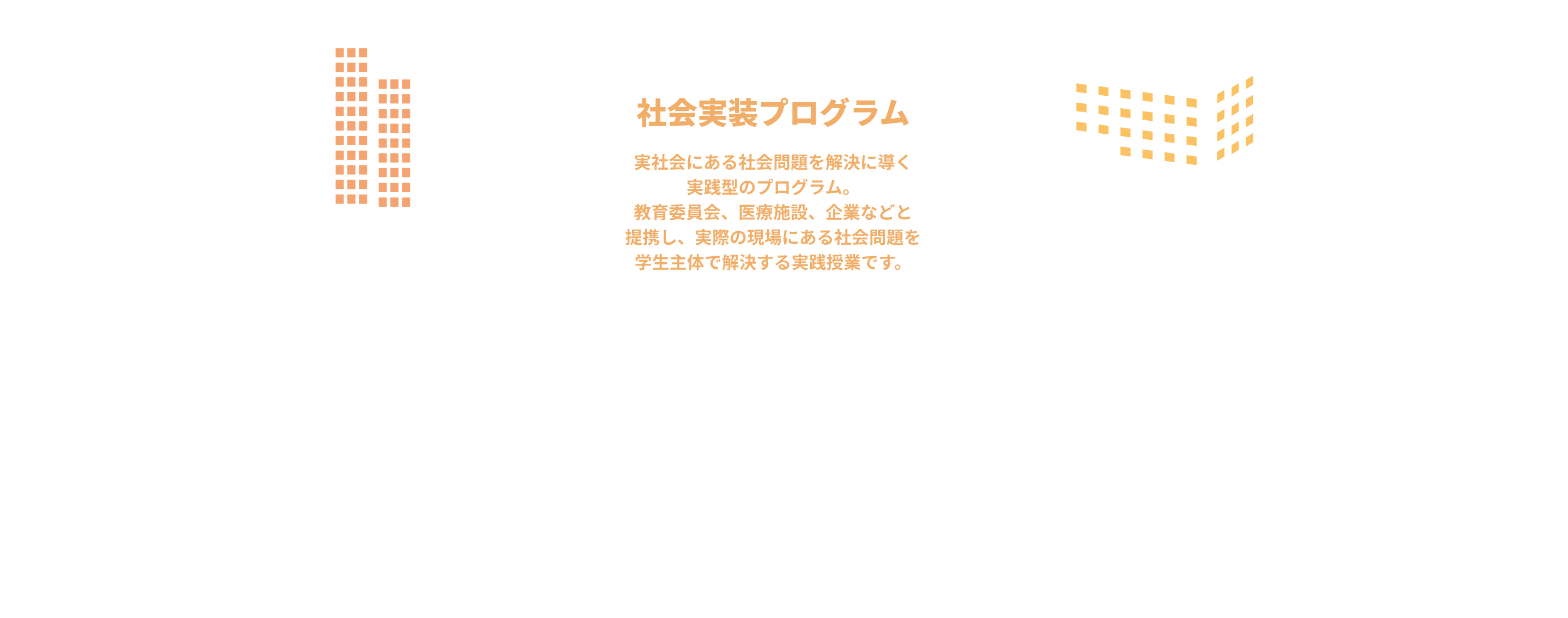 社会実装プログラム図解